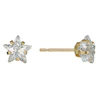 9ct Yellow Gold Cubic Zirconia Star 6mm Stud Earrings