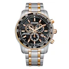 Citizen Eco-Drive Men's Perpetual Calendar Two-Tone Watch