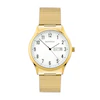 Sekonda Easy Reader Men's Gold Tone Expander Bracelet Watch